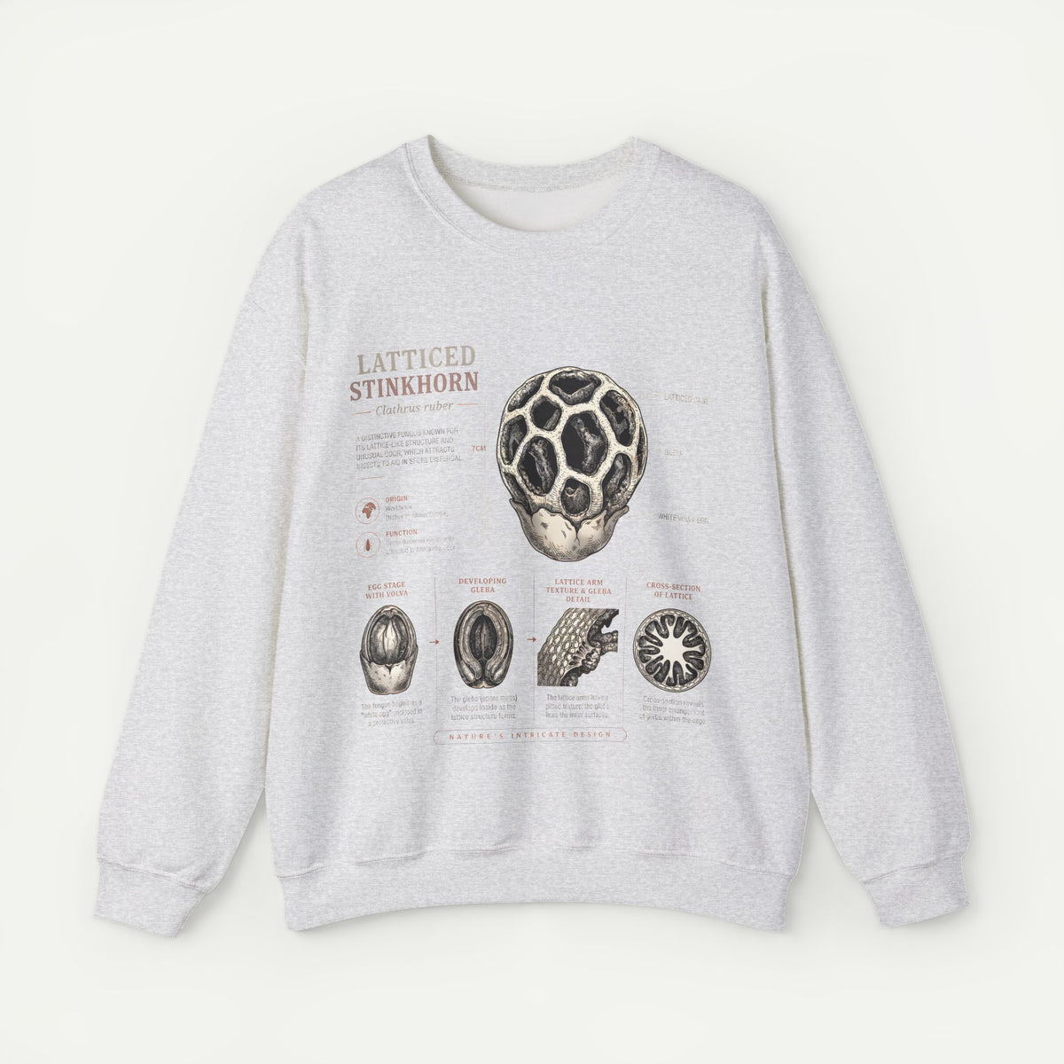 Mushroom Anatomy Sweatshirt – Latticeed Stinkhorn Mycology Crewneck
