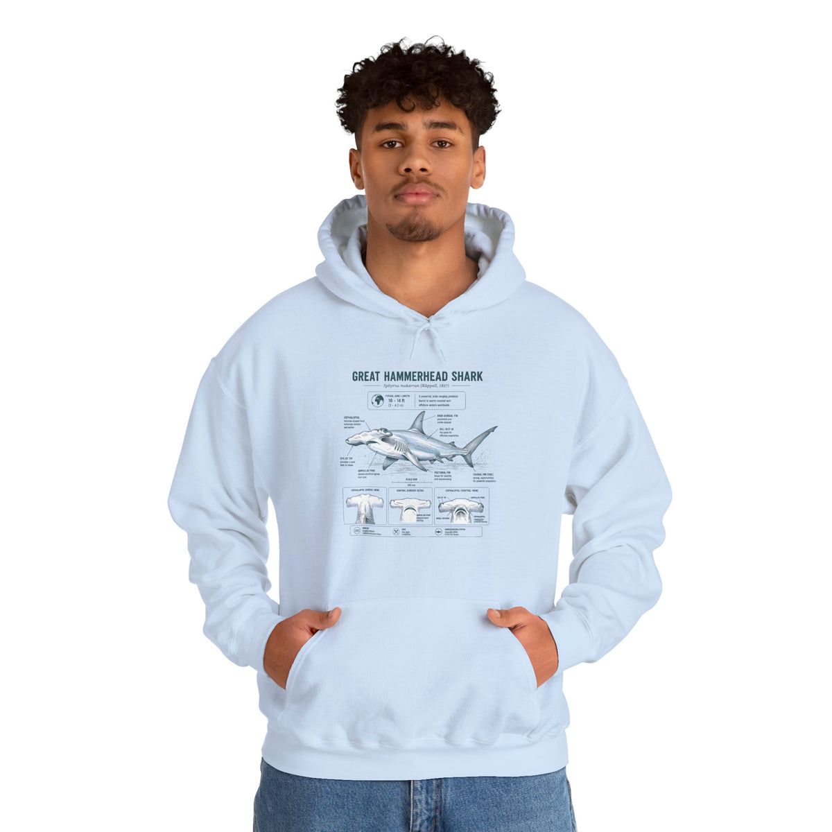 Shark Anatomy Hoodie — Great Hammerhead Shark Diagram Sweatshirt