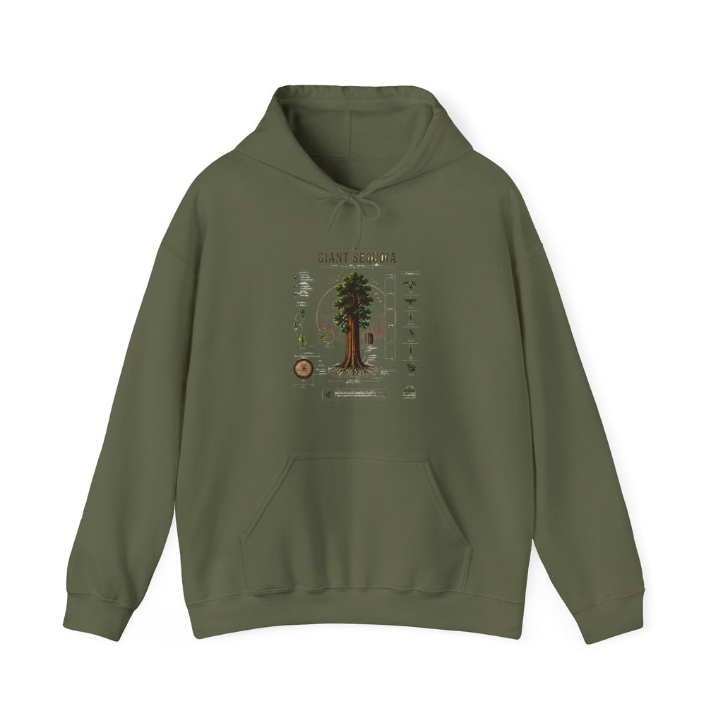 Giant Sequoia Botanical Hoodie — Vintage Tree Illustration & Facts