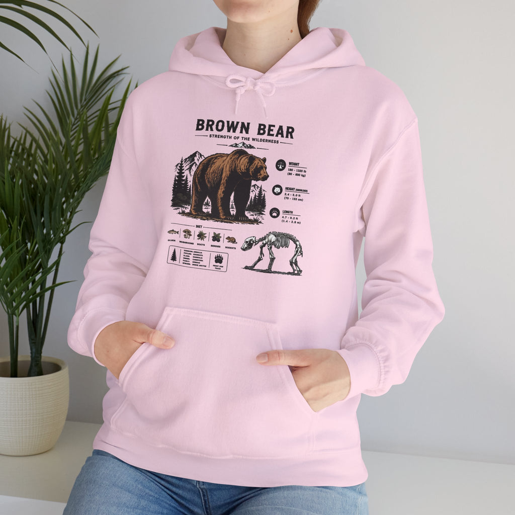 Brown Bear Anatomy Hoodie — Vintage Wildlife Graphic Sweatshirt