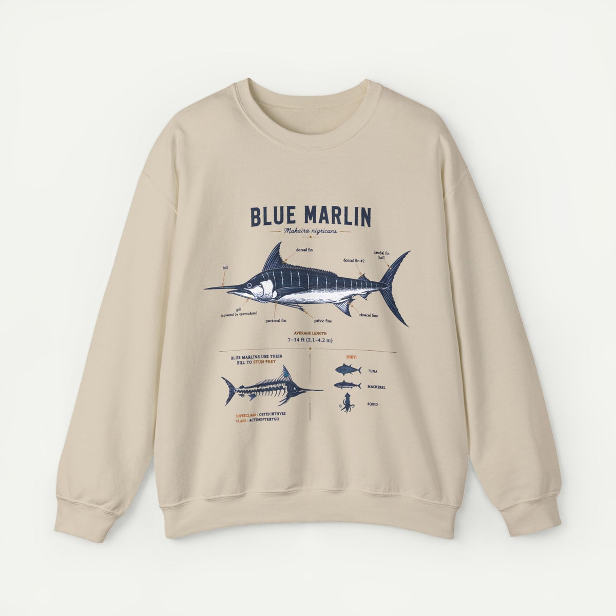 Blue Marlin Fish Anatomy Sweatshirt