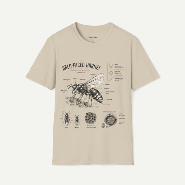 Bald-Faced Hornet Anatomy T-Shirt - Vintage Entomology Illustration