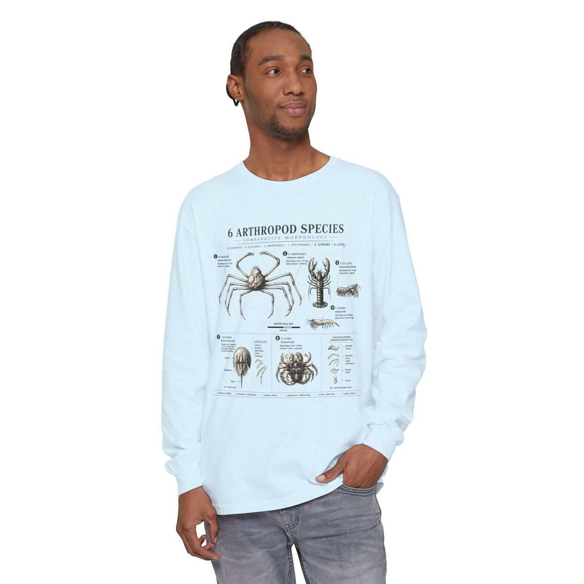 Arthropod Species Chart Long Sleeve Tee — Vintage Scientific Insect Diagram Shirt