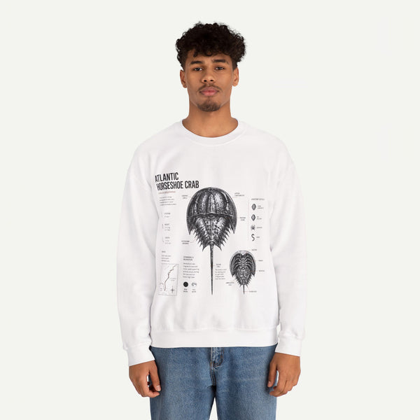 Horseshoe Crab Anatomy Sweatshirt — Atlantic Horseshoe Crab Illustration Crewneck