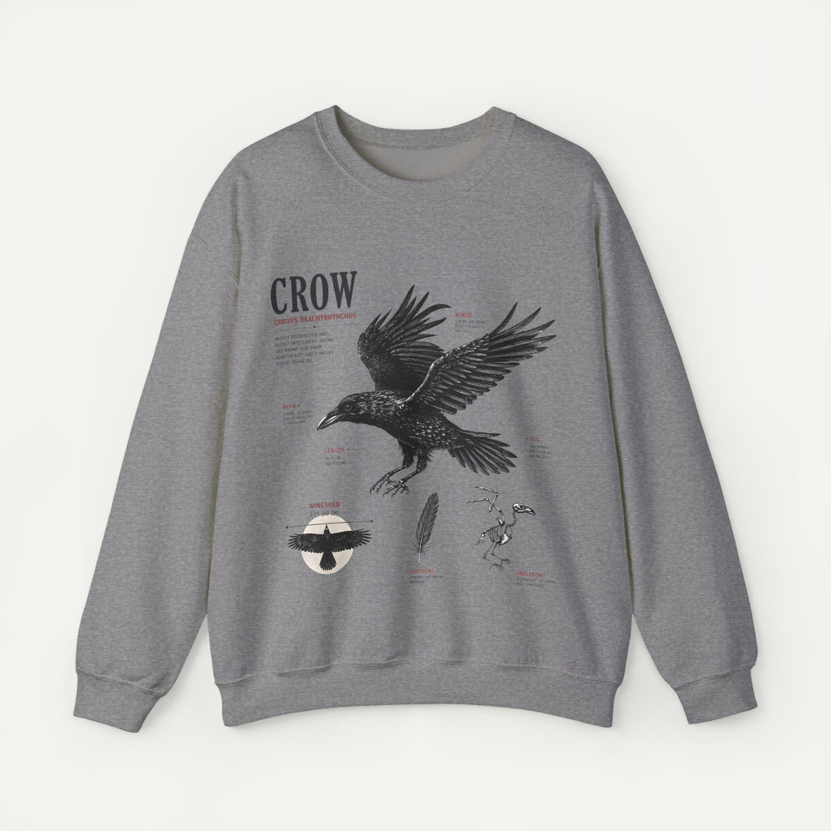 Crow Anatomy Sweatshirt