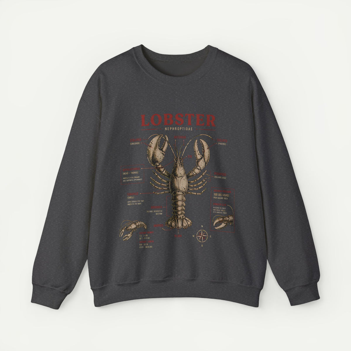 Lobster Anatomy Crewneck Sweatshirt