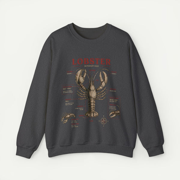 Lobster Anatomy Crewneck Sweatshirt