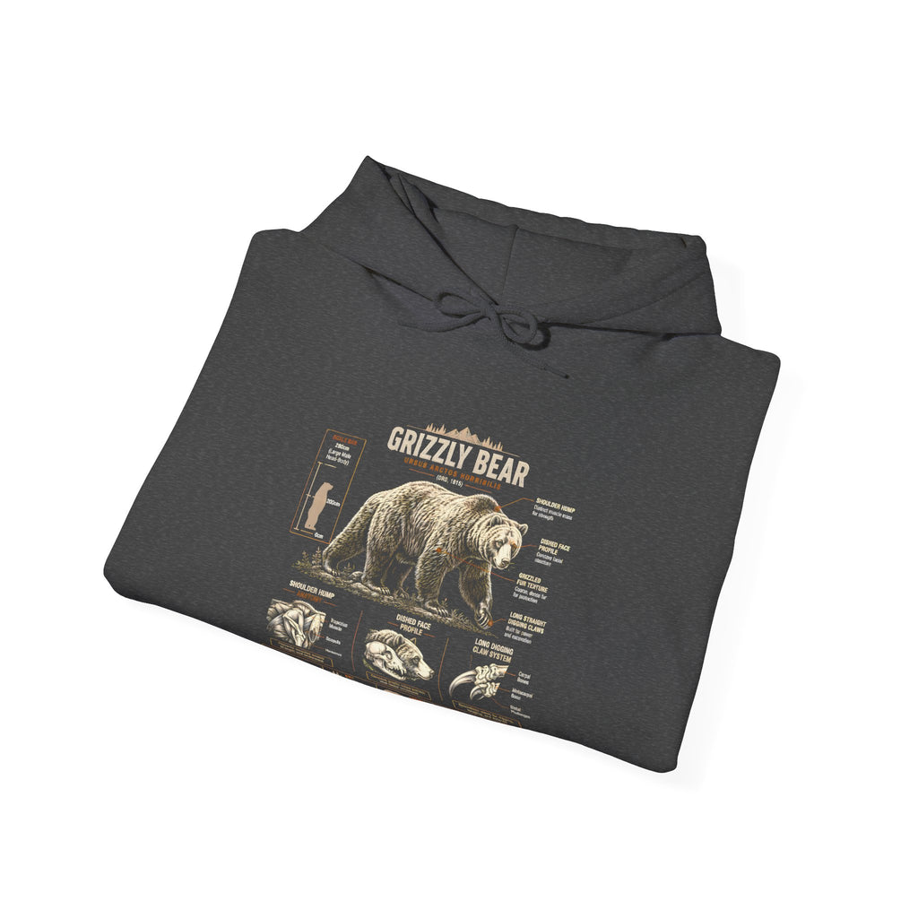 Hoodie — Vintage Bear Anatomy Graphic Hoodie