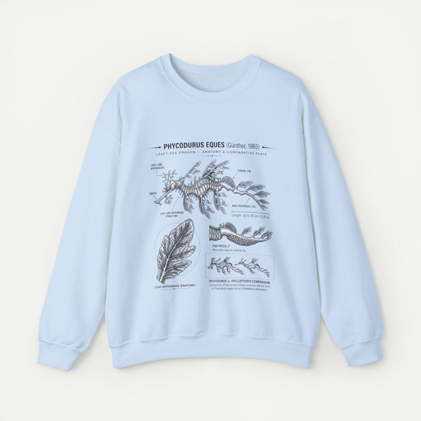 Botanical Anatomy Sweatshirt — Vintage Phycodurus Eques Seaweed Illustration