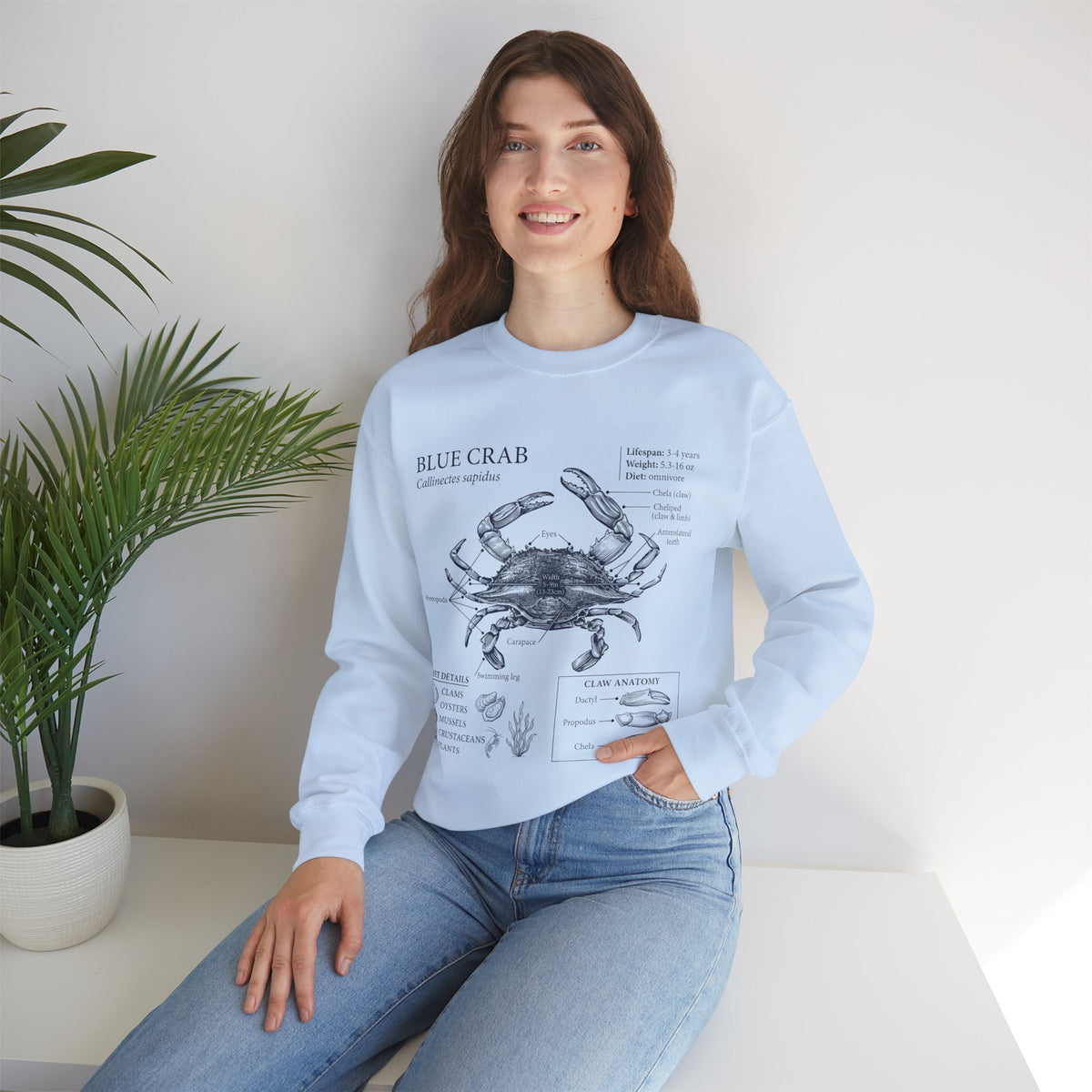 Blue Crab Anatomy Crewneck Sweatshirt – Marine Biology Graphic Pullover