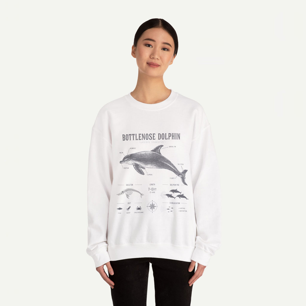 Bottlenose Dolphin Sweatshirt – Marine Life Educational Graphic