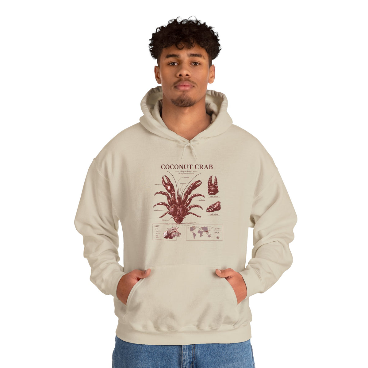 Coconut Crab Anatomy Hoodie — Vintage Botanical & Marine Study Print