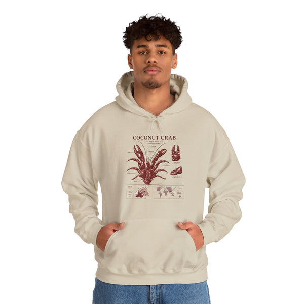 Coconut Crab Anatomy Hoodie — Vintage Botanical & Marine Study Print