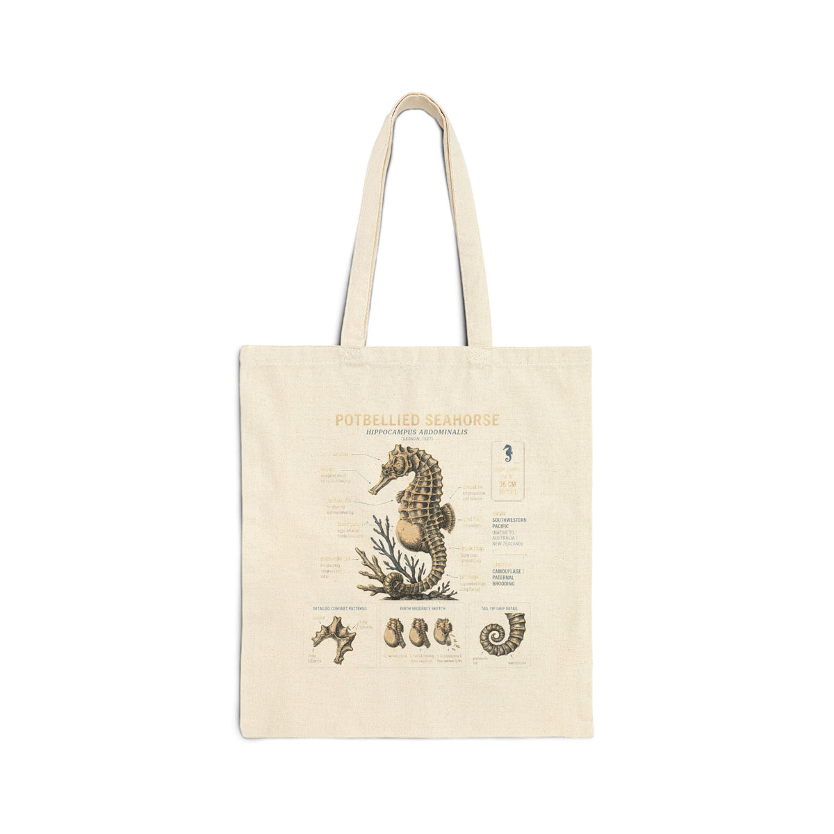 Seahorse Anatomy Canvas Tote Bag – Vintage Marine Biology Illustration Tote Main image