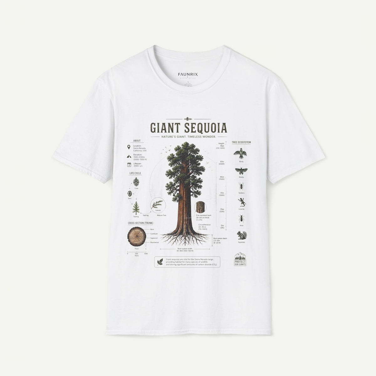 Giant Sequoia Anatomy T-Shirt — Botanical Tree Illustration Tee