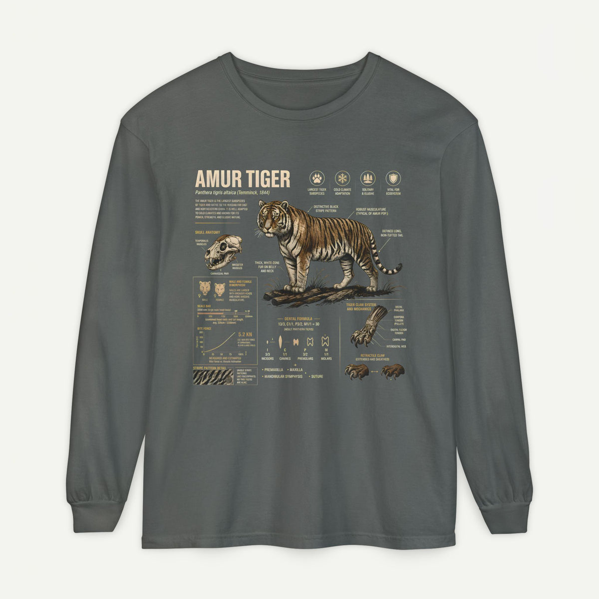 Amur Tiger Anatomy Long Sleeve Tee