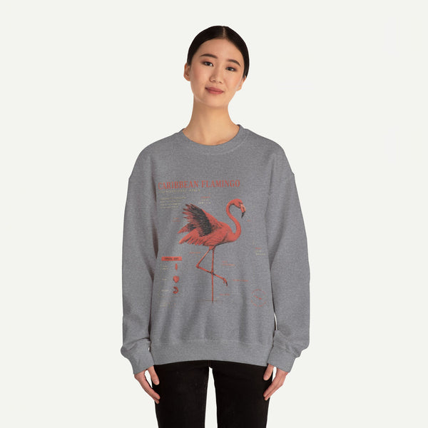 Flamingo Anatomy Field Guide Crewneck Sweatshirt