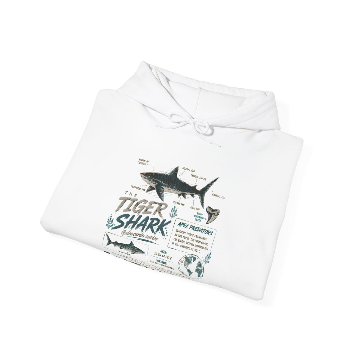 Tiger Shark Illustration Hoodie — Marine Biology Graphic Pullover (Tiger Shark Facts)