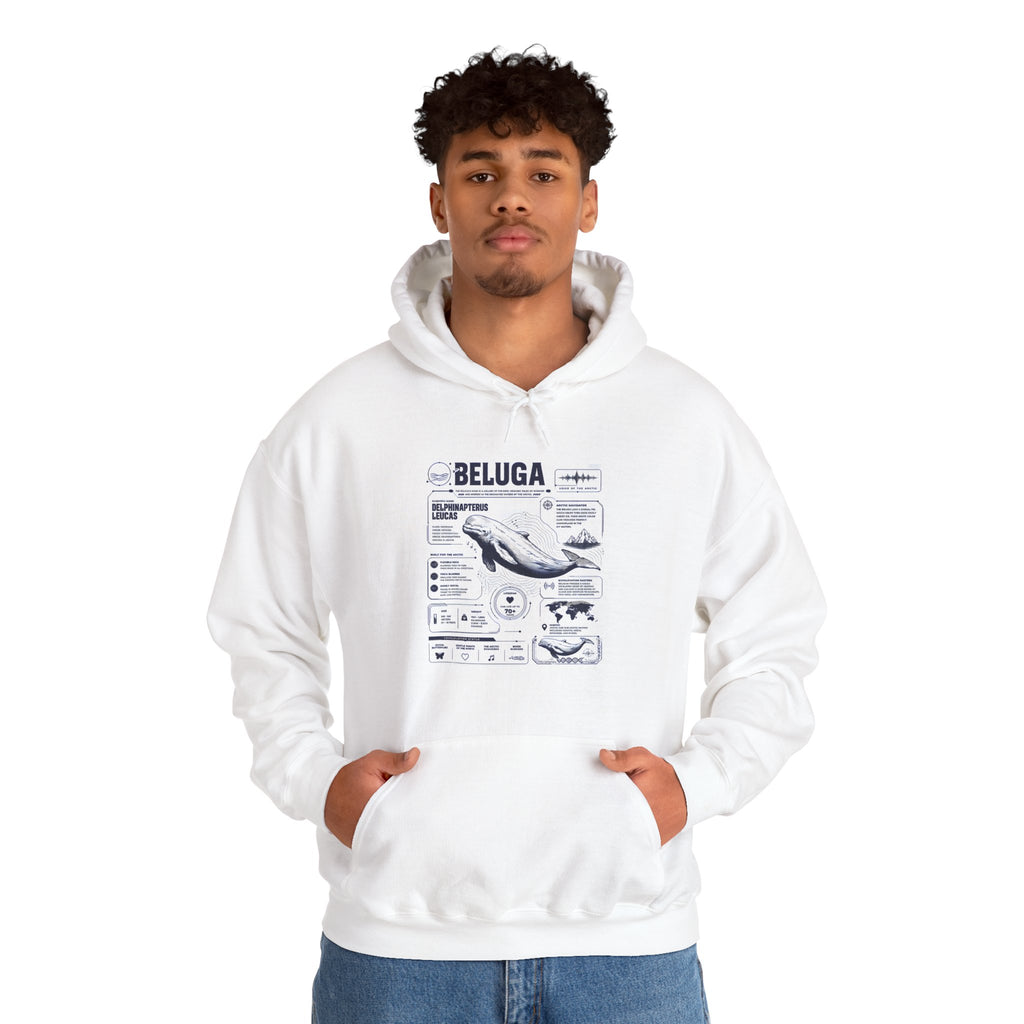 Beluga Whale Graphic Hoodie - Marine Life Diagram Sweatshirt