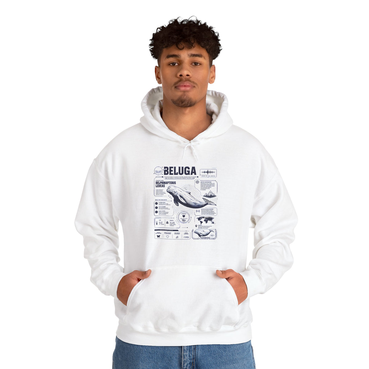 Beluga Whale Graphic Hoodie - Marine Life Diagram Sweatshirt