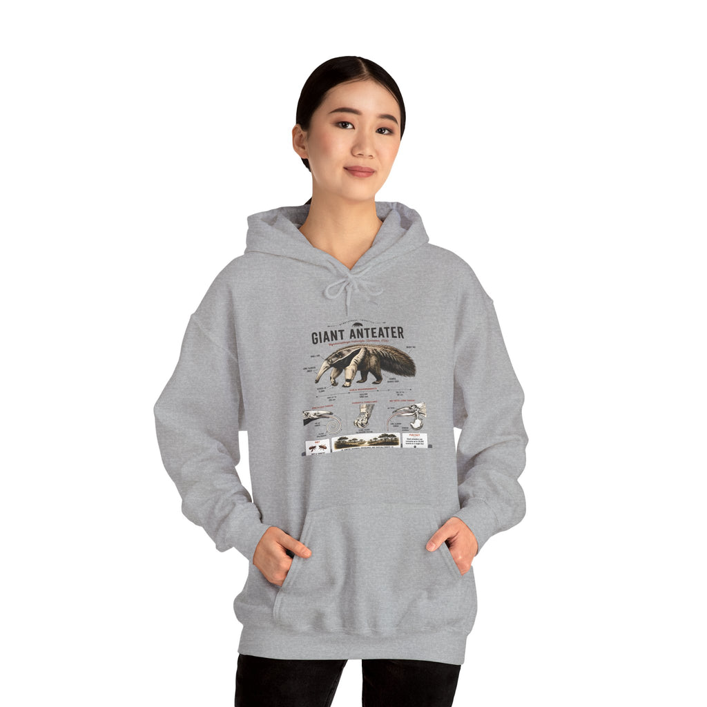 Giant Anteater Anatomy Hoodie — Illustrated Wildlife Diagram Sweatshirt