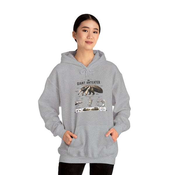 Giant Anteater Anatomy Hoodie — Illustrated Wildlife Diagram Sweatshirt