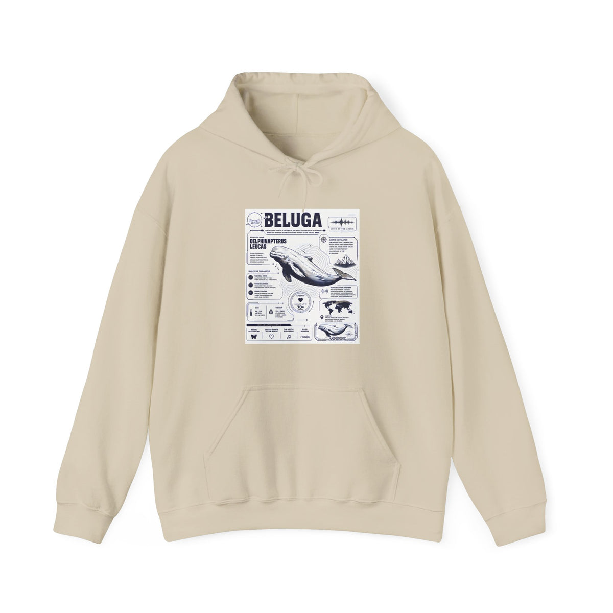 Beluga Whale Graphic Hoodie - Marine Life Diagram Sweatshirt