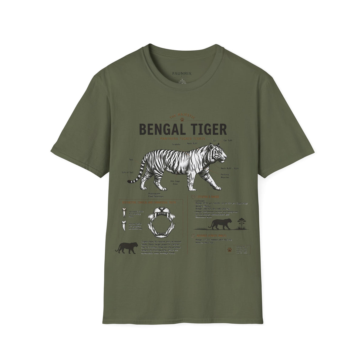 Bengal Tiger Vintage Anatomy T-Shirt