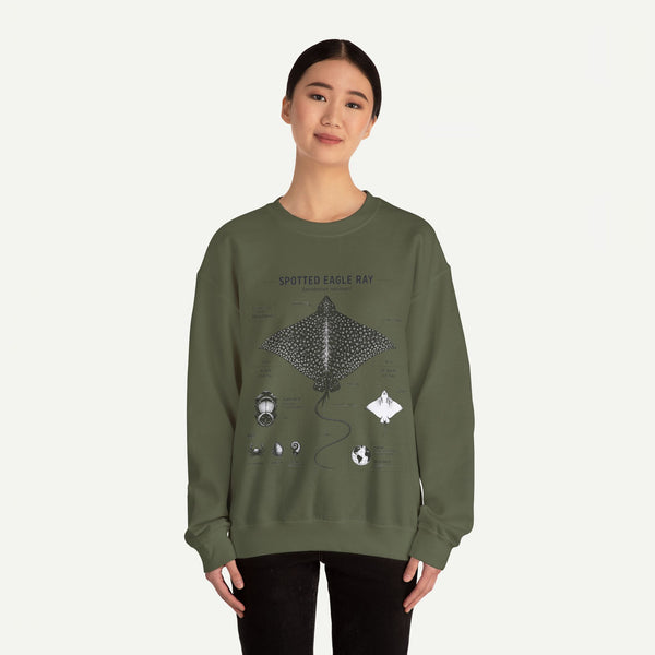 Spotted Eagle Ray Anatomy Sweatshirt – Marine Biology Illustration