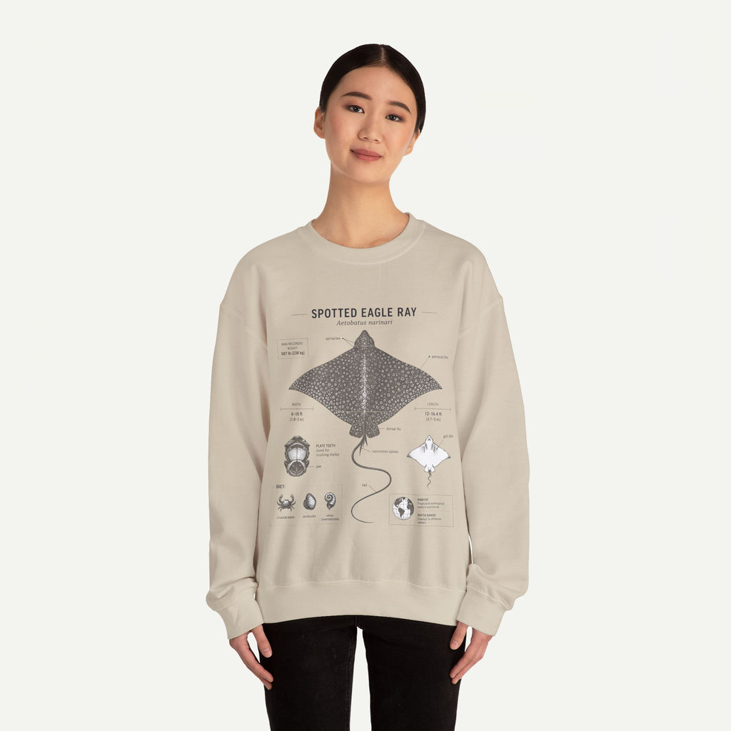 Spotted Eagle Ray Anatomy Sweatshirt – Marine Biology Illustration