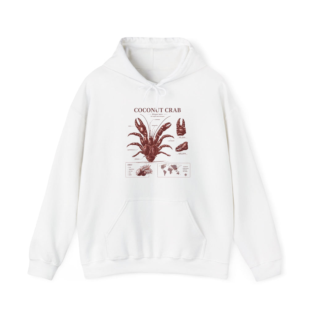 Coconut Crab Anatomy Hoodie — Vintage Botanical & Marine Study Print