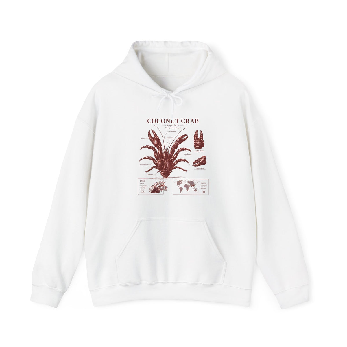 Coconut Crab Anatomy Hoodie — Vintage Botanical & Marine Study Print