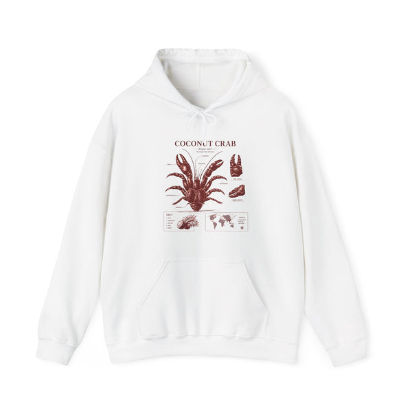 Coconut Crab Anatomy Hoodie — Vintage Botanical & Marine Study Print