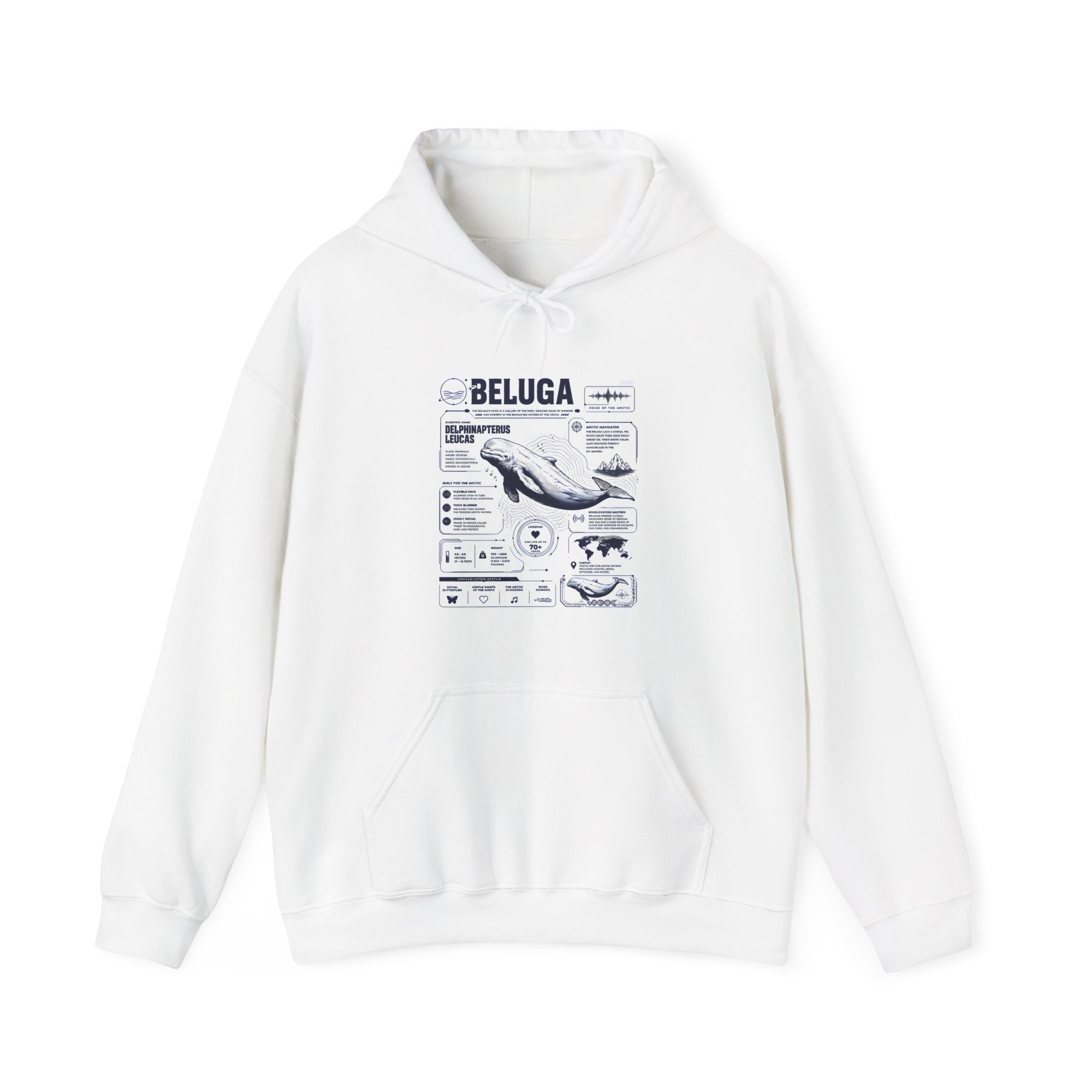 Beluga Whale Graphic Hoodie - Marine Life Diagram Sweatshirt Secondary image