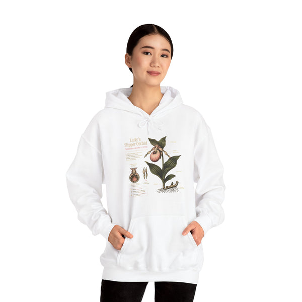 Botanical Peach Illustration Hoodie — Vintage Botanical Chart Sweatshirt