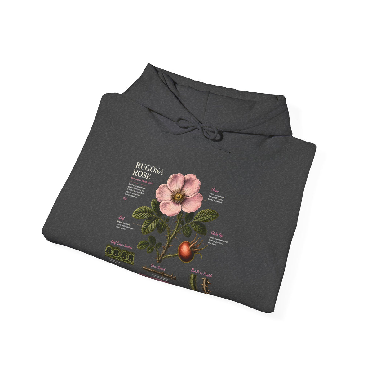 Vintage Botanical Hoodie — Rose Diagram Print