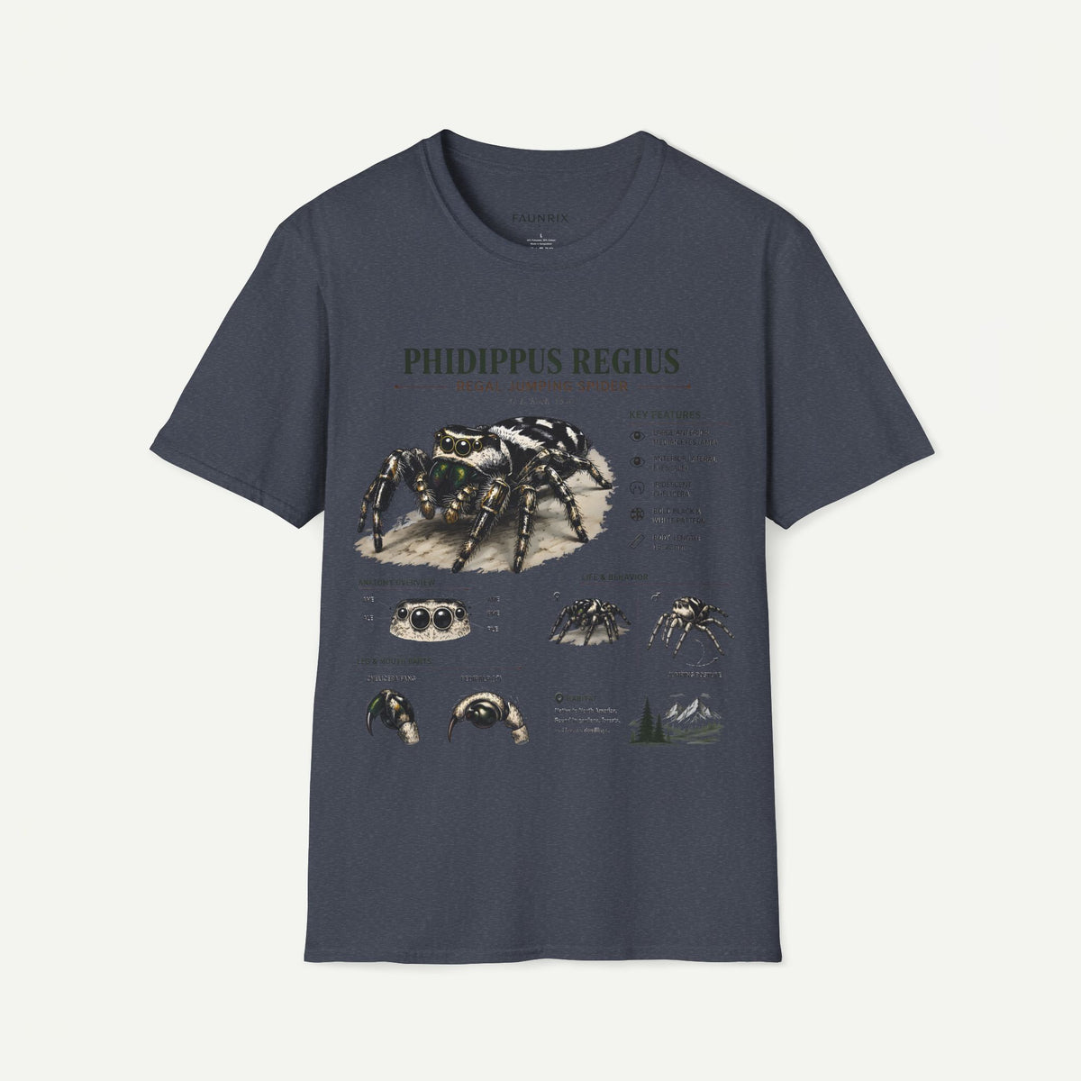 Phidippus Regius Jumping Spider Anatomy T-Shirt — Educational Arachnid Tee