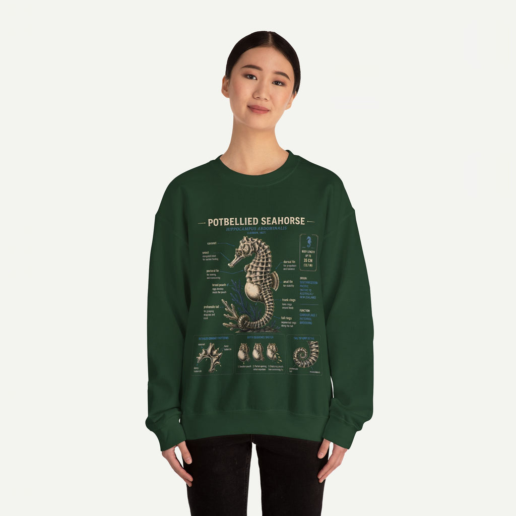 Potbellied Seahorse Anatomy Sweatshirt – Marine Biology Illustration Crewneck
