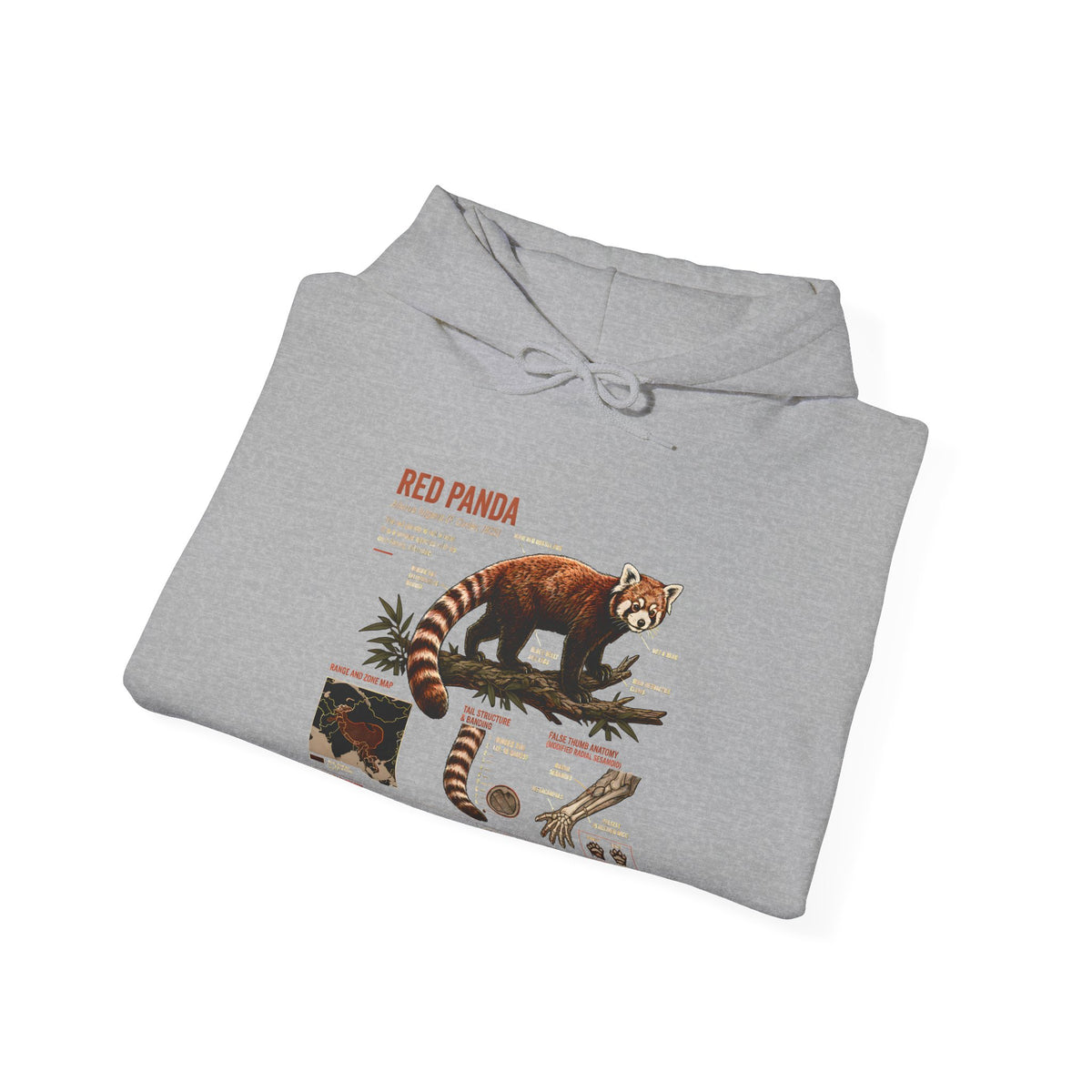 Red Panda Anatomy Hoodie — Vintage Wildlife Guide Sweatshirt