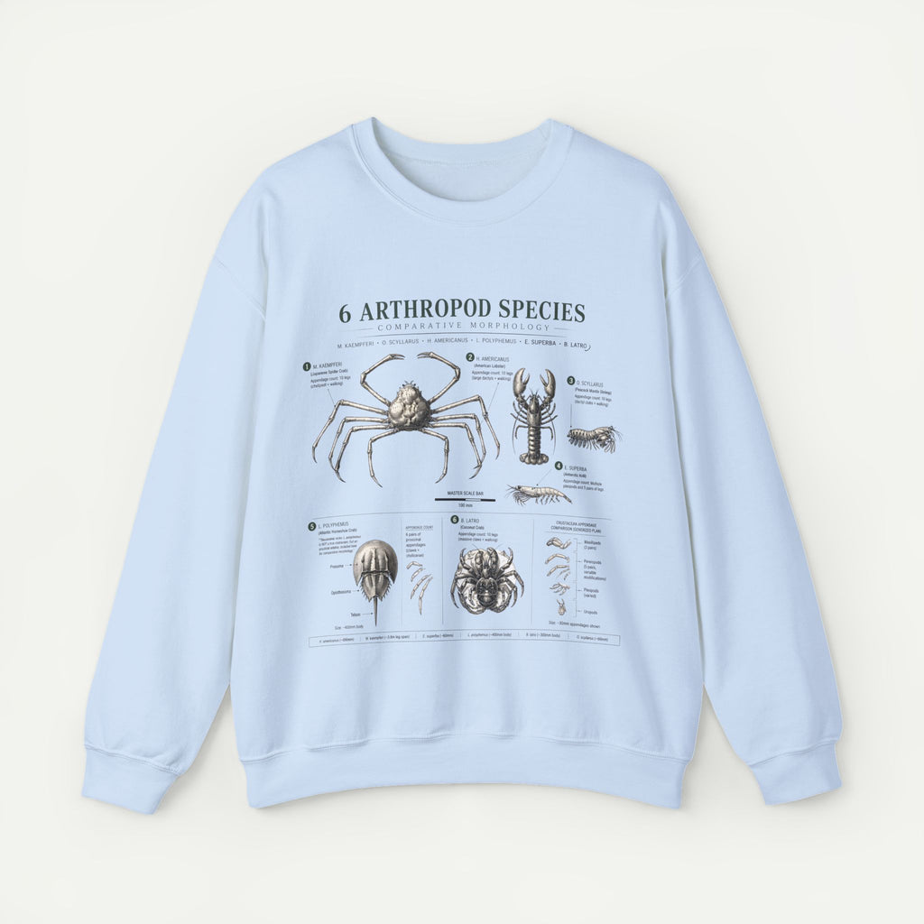 Arthropod Species Crewneck Sweatshirt — Vintage Scientific Bug Anatomy Pullover