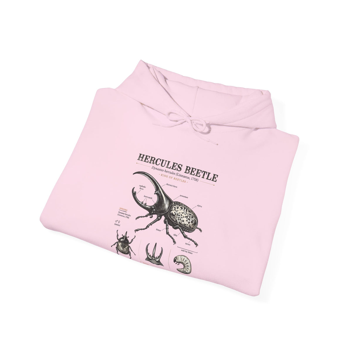 Hercules Beetle Anatomy Hoodie — Vintage Entomology Illustration Sweatshirt