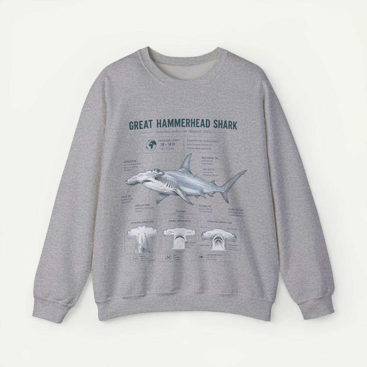 Hammerhead Shark Anatomy Sweatshirt — Great Hammerhead Shark Illustration