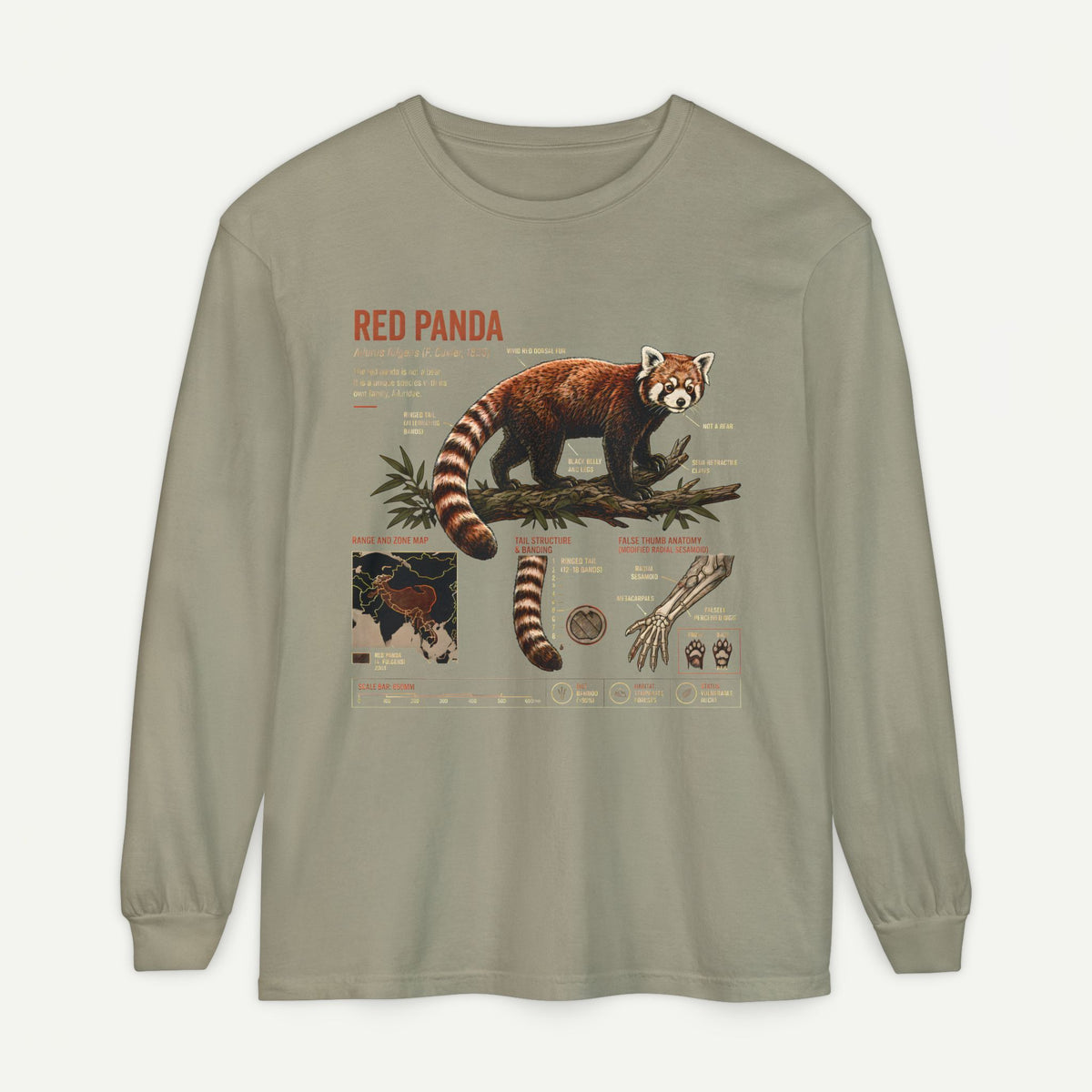 Red Panda Illustration Long Sleeve Tee — Wildlife Field Guide Graphic