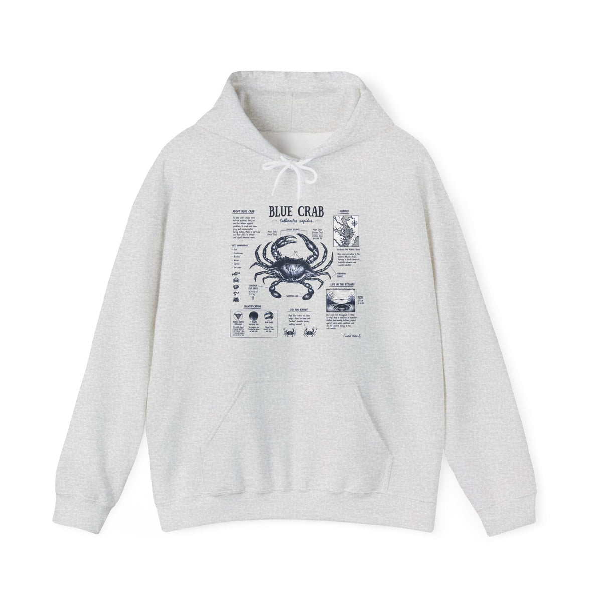 Blue Crab Anatomy Hoodie — Nautical Seafood Diagram Sweatshirt