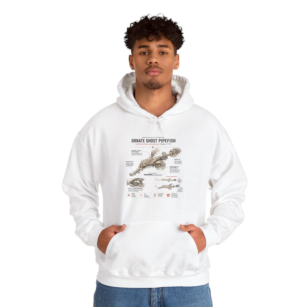 Ornate Ghost Pipefish Anatomy Hoodie — Scientific Diagram Pullover