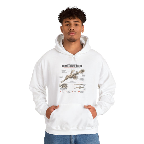 Ornate Ghost Pipefish Anatomy Hoodie — Scientific Diagram Pullover