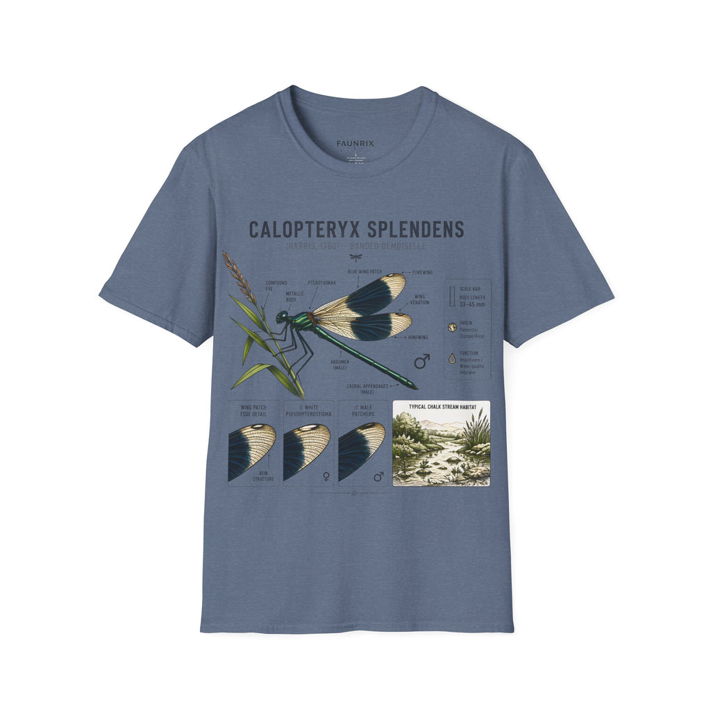 Calopteryx Splendens Anatomy T-Shirt