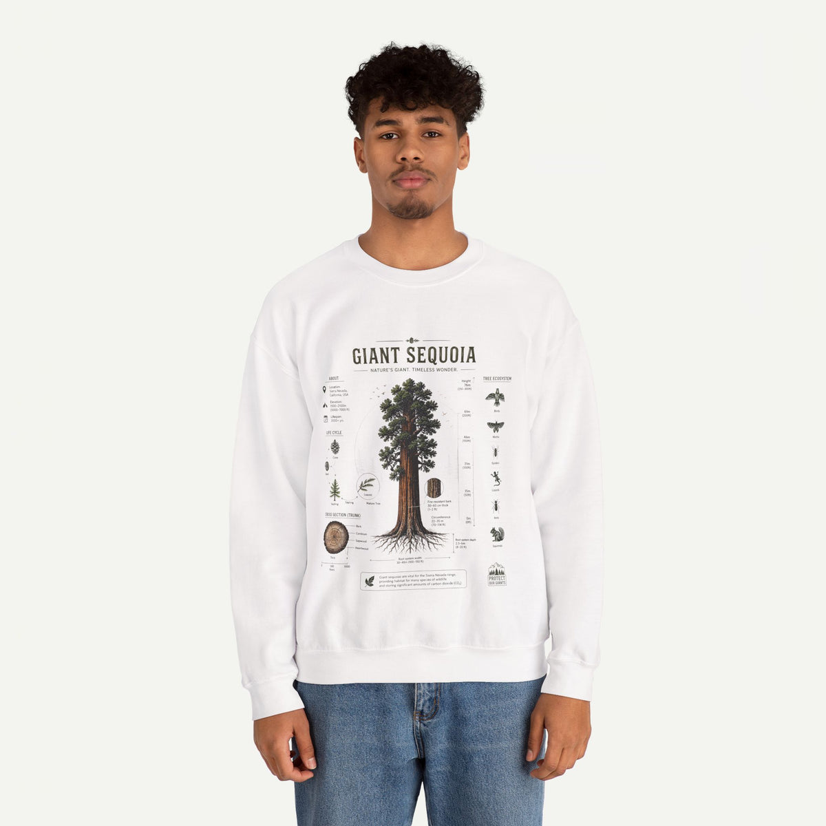 Giant Sequoia Botanical Sweatshirt