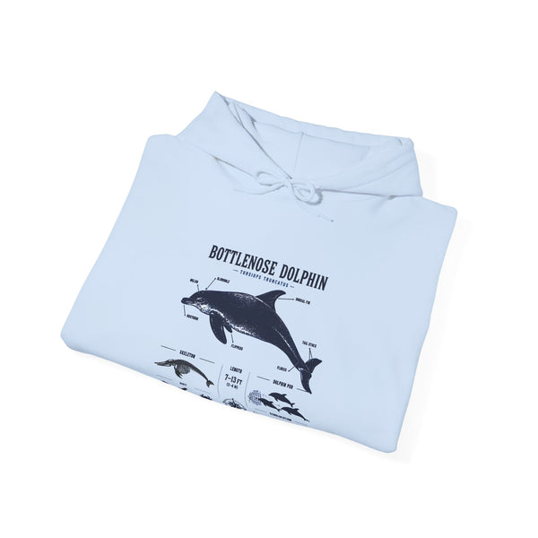Bottlenose Dolphin Diagram Hoodie – Marine Life Anatomy Sweatshirt