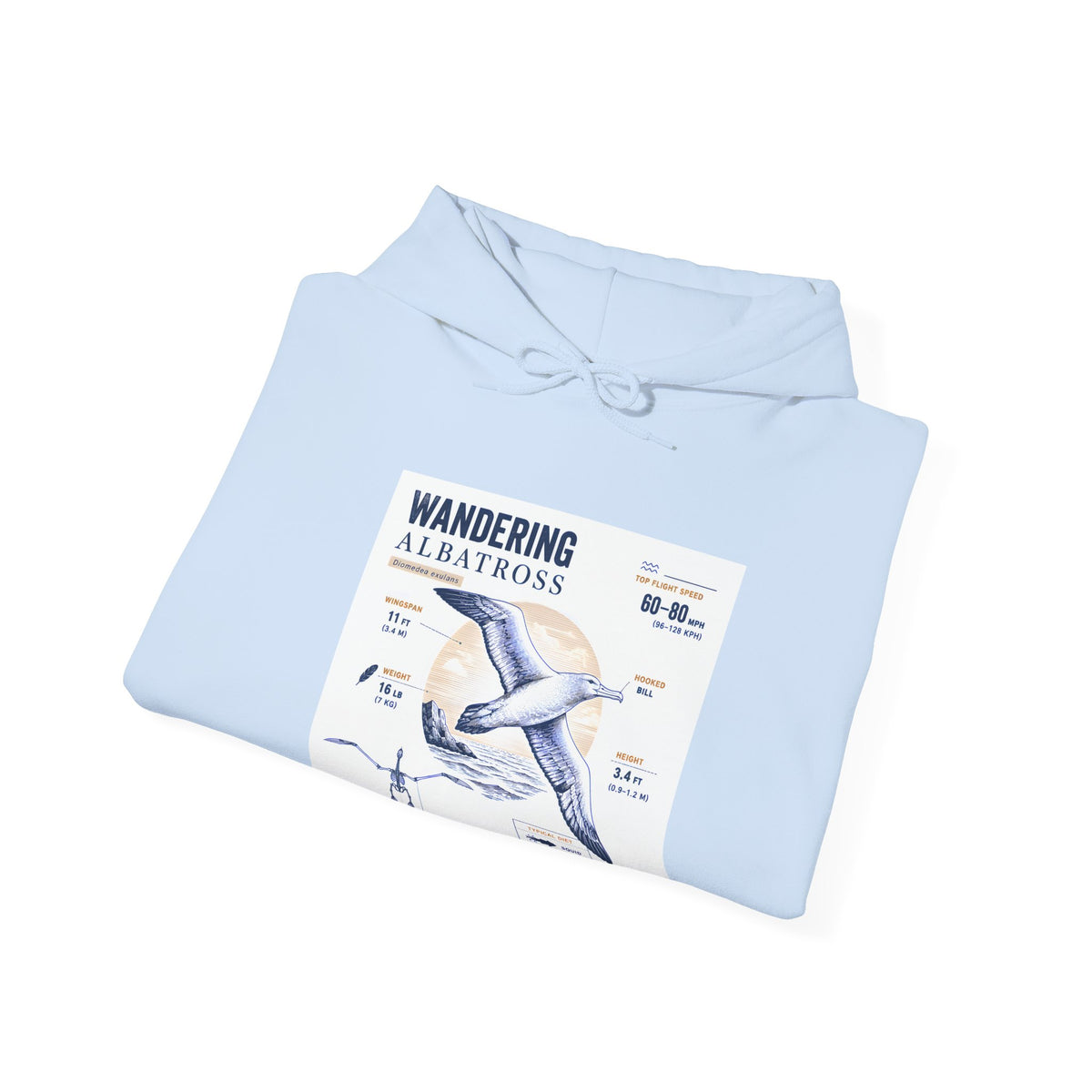Wandering Albatross Hoodie — Illustrated Sea Bird Anatomy Pullover